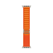 Ремінець Alpine Loop Band 42,44,45,46mm(10,11S),49mm(ultra 1-3S)Orange 286-2 фото 1