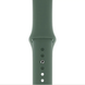 Ремінець Apple Watch Silicone 42,44,45,46mm(10,11S),49mm(ultra 1-3S)Pine green 276-57 фото 1