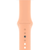 Ремінець Apple Watch Silicone 42,44,45,46mm(10,11S),49mm(ultra 1-3S)Begonia 276-26 фото