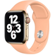 Ремінець Apple Watch Silicone 42,44,45,46mm(10,11S),49mm(ultra 1-3S)Begonia 276-26 фото 2