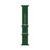 Ремінець Ocean Band 38,40,41,42mm(10,11S) Dark Green 287-7 фото