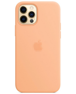 Silicone Case FULL iPhone 15 Cantaloupe 1674-64 фото