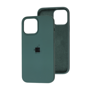 Чохол Silicone case Full iPhone 16 Pro Cactus 2482-61 фото