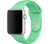 Ремінець Apple Watch Silicone 38,40,41mm Spearmint 275-49 фото