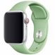 Ремінець Apple Watch Silicone 38,40,41mm Mint 275-0 фото 2