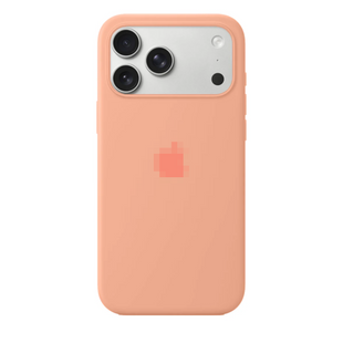 Чохол Silicone case Full iPhone 17 Pro Max Begonia 4018-26 фото
