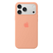 Чохол Silicone case Full iPhone 17 Pro Max Begonia 4018-26 фото 1