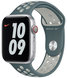 Ремінець Sport Band Nike 38,40,41,42mm(10,11S) Pine green - white 283-23 фото 1