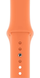 Ремінець Apple Watch Silicone 38,40,41mm,42mm(10,11S) Papaya 275-55 фото 1