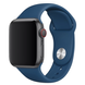 Ремінець Apple Watch Silicone 38,40,41mm,42mm(10,11S) Alaskan blue 275-56 фото 2