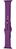 Ремінець Apple Watch Silicone 42,44,45,46mm(10,11S),49mm(ultra 1-3S)Grape 276-44 фото