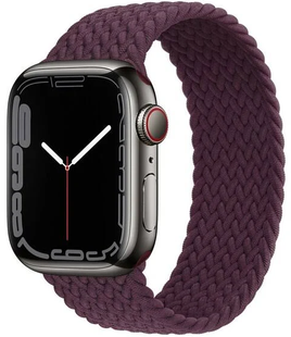 Ремінець нейлоновий Braided Solo Loop 38mm,40mm,41mm,42mm(10,11S)Plum 1171-33 фото