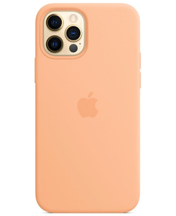 Silicone Case FULL iPhone 11 Pro Max Cantaloupe 119-67 фото