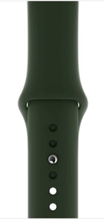 Ремінець Apple Watch Silicone 42,44,45,46mm(10,11S),49mm(ultra 1-3S)Forest green 276-48 фото