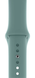 Ремінець Apple Watch Silicone 38,40,41mm,42mm(10,11S) Cactus 275-64 фото 1