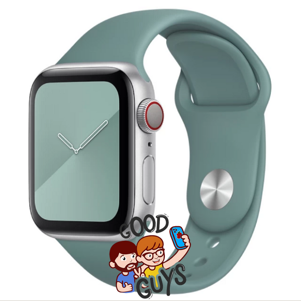 Ремінець Apple Watch Silicone 38,40,41mm,42mm(10,11S) Cactus 275-64 фото