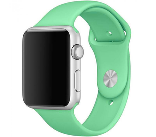 Ремінець Apple Watch Silicone 42,44,45,46mm(10,11S),49mm(ultra 1-3S)Spearmint 276-49 фото