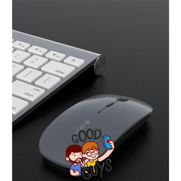 Мишка DEVIA 2.4G+WIRELESS DUAL mouse lingo series 2251-0 фото