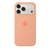 Чохол Silicone case Full iPhone 18 Pro Max Begonia 4614-26 фото