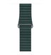 Ремінець Leather Loop Band 42,44,45,46mm(10,11S),49mm(ultra 1-3S) Forest Green 1422-3 фото 1