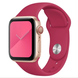 Ремінець Apple Watch Silicone 42,44,45,46mm(10,11S),49mm(ultra 1-3S)Pomegranate 276-63 фото 2