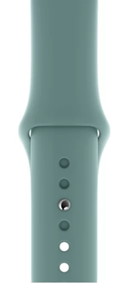 Ремінець Apple Watch Silicone 42,44,45,46mm(10,11S),49mm(ultra 1-3S)Cactus 276-64 фото